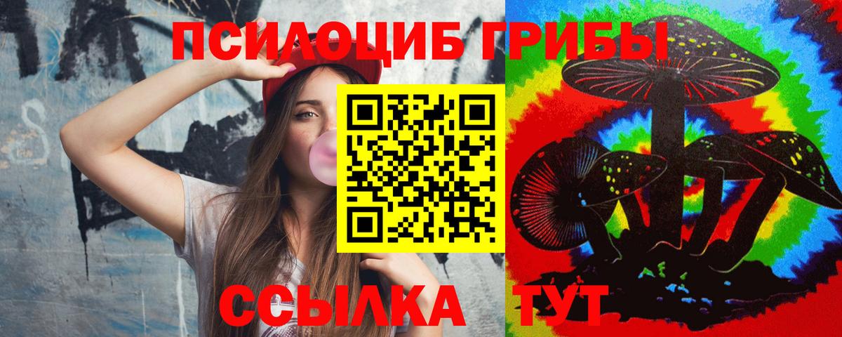 Псилоцибиновые грибы MAGIC MUSHROOMS Новоалександровск